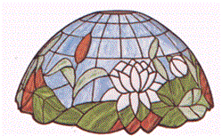 WATER LILY